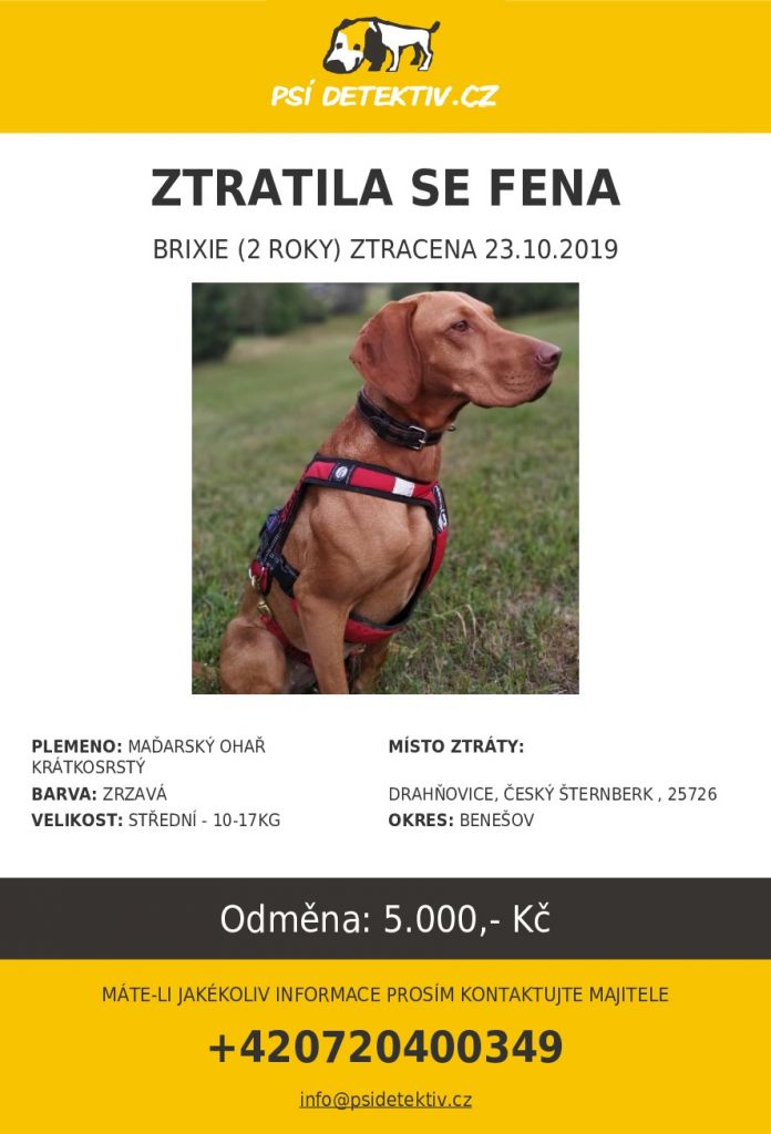 plakát ztracená fena