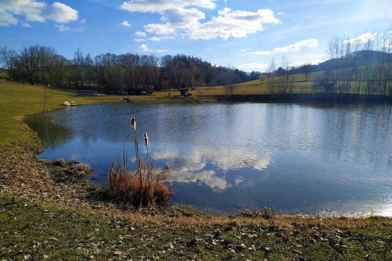 rybník
